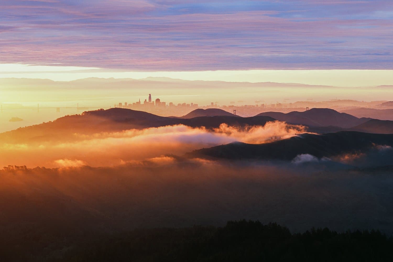 Mount Tamalpais